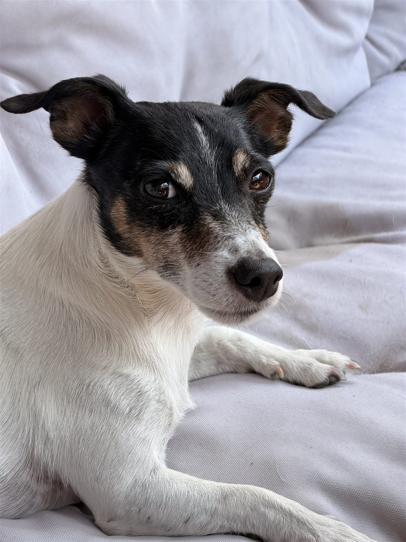 Inge auf dem Sofa